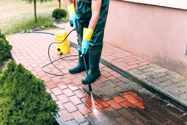 Best Vinyl Siding Pressure Washing in Redwood, TX