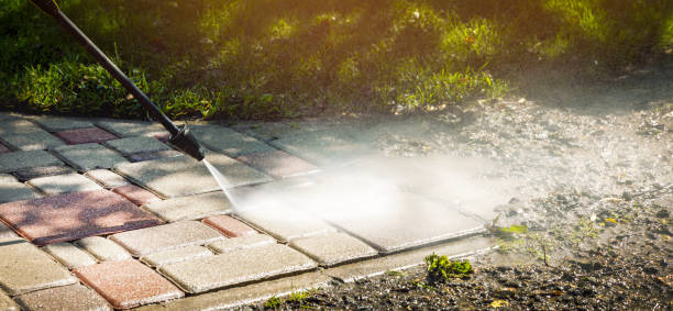 Best Roof Cleaning and Mildew Removal in Redwood, TX