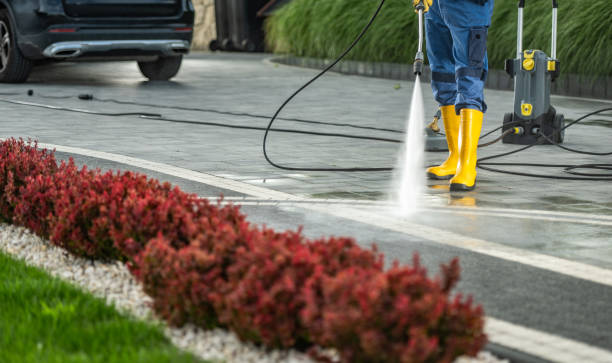 Best Brick and Stone Cleaning in Redwood, TX